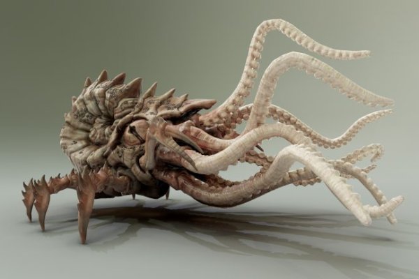 Kraken istand onion