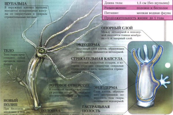 Кракен это сайт что продают