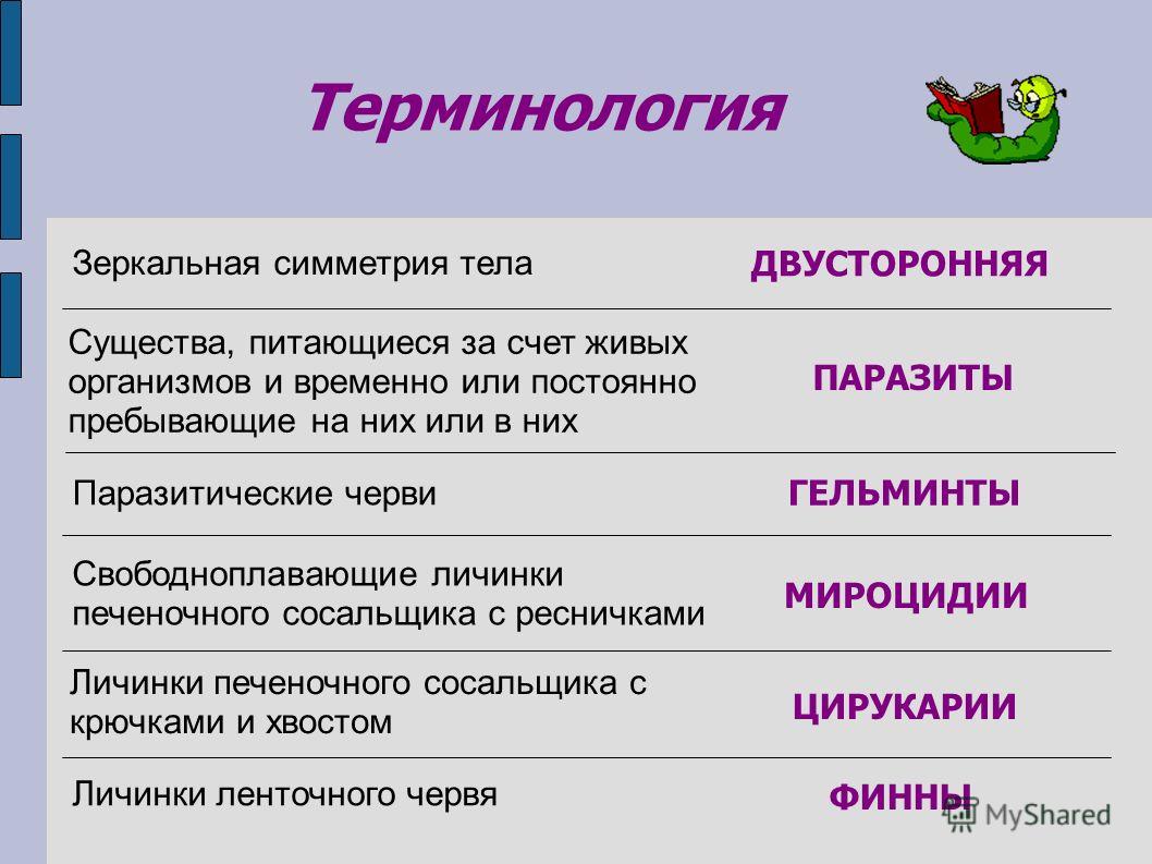 Kraken market зеркала